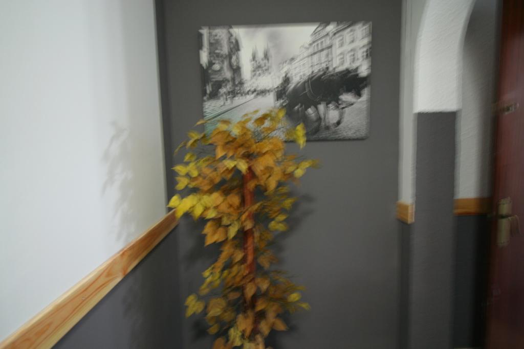 Hostal Restaurante Avenida De Madrid Terrassa Extérieur photo